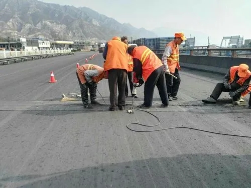 白河道路桥梁病害治理